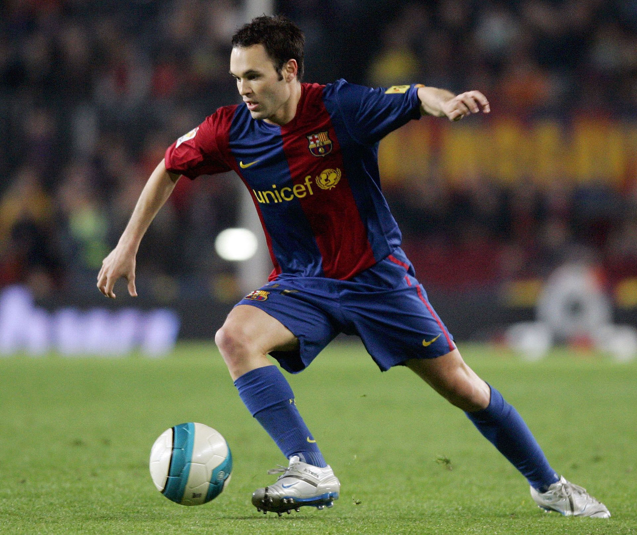 也是她未来 也是她未来