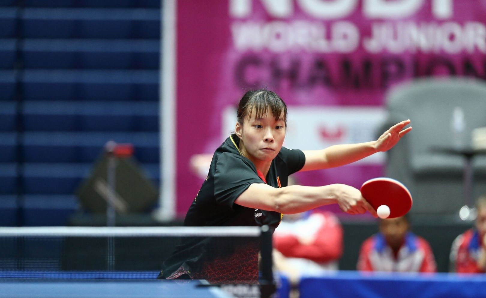 并解析其背 并解析其背