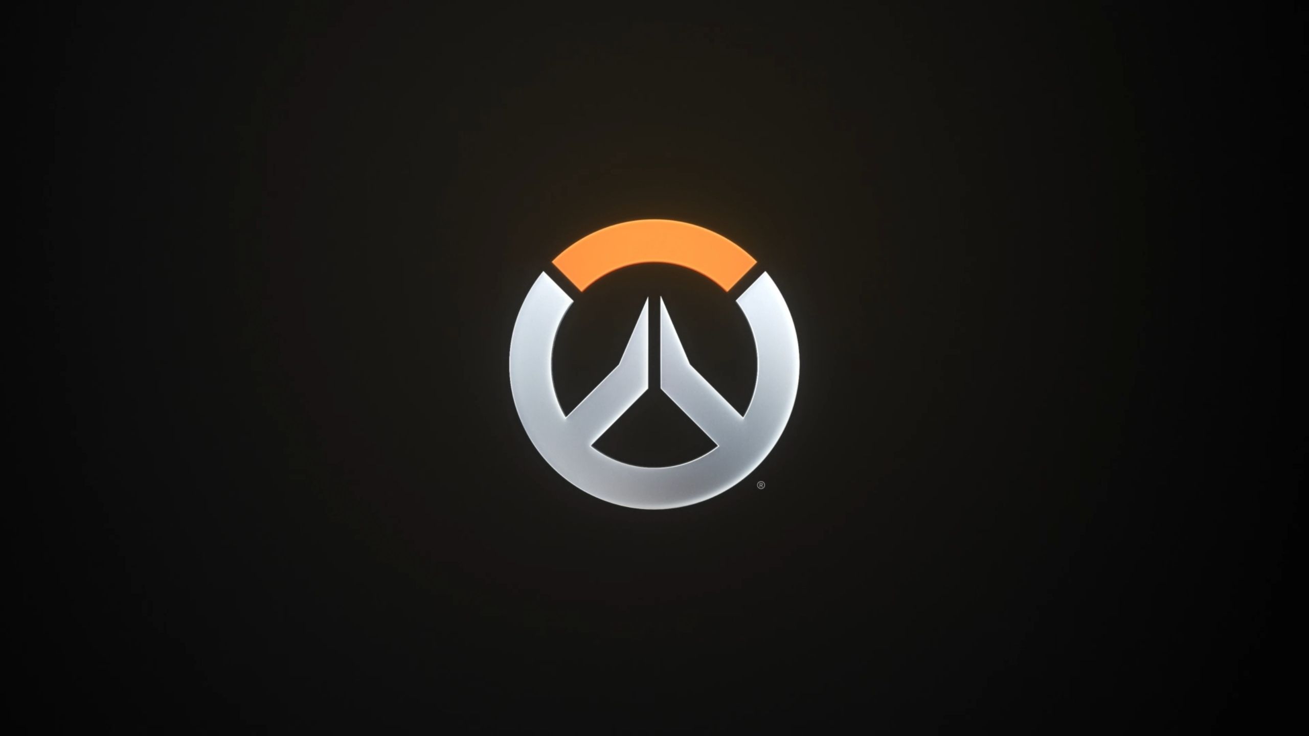 迷的目光 迷的目光