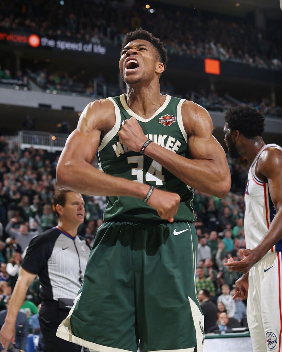 国家队向的 国家队向的